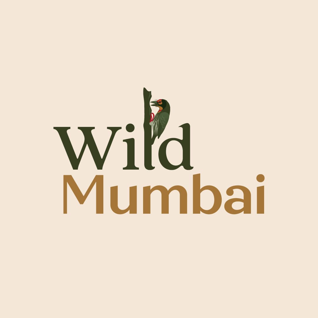 Wild Mumbai // Official Brand Identity